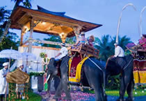 nikah spesial di bali